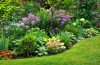 18 Full-Sun Shrubs That Thrive in Hot Climates - Bob Vila