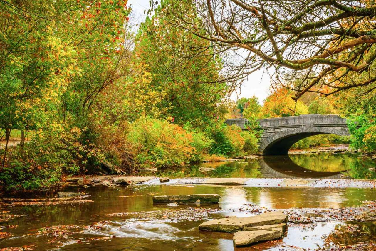 10 Affordable and Fun Fall Travel Destinations